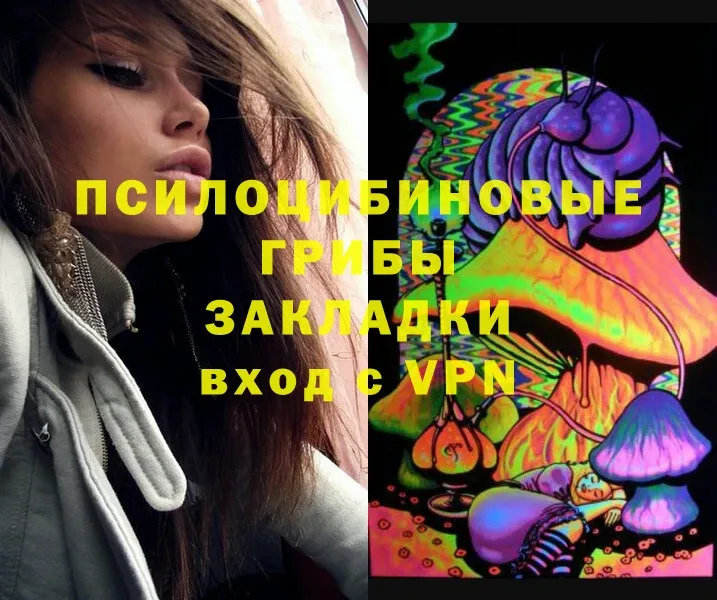 hydra вход  Киреевск  Псилоцибиновые грибы Psilocybe 